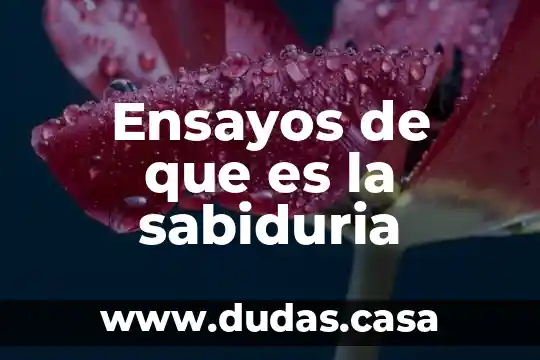 Ensayos de que es la sabiduria