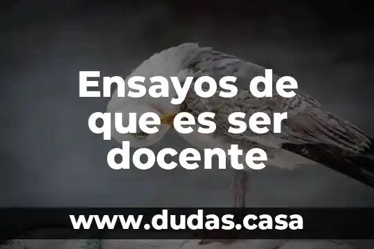 Ensayos de que es ser docente