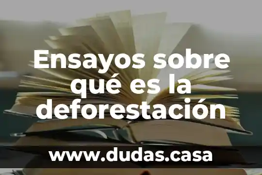 Ensayos sobre qué es la deforestación