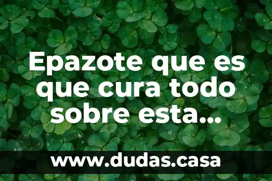 Epazote que es que cura todo sobre esta planta