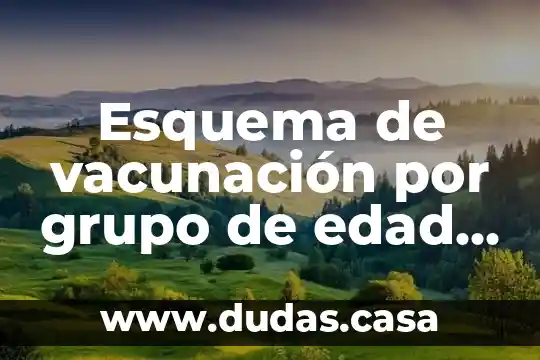 Esquema de vacunación por grupo de edad que es