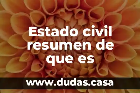 Estado civil resumen de que es