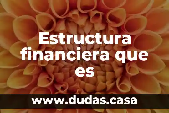 Estructura financiera que es