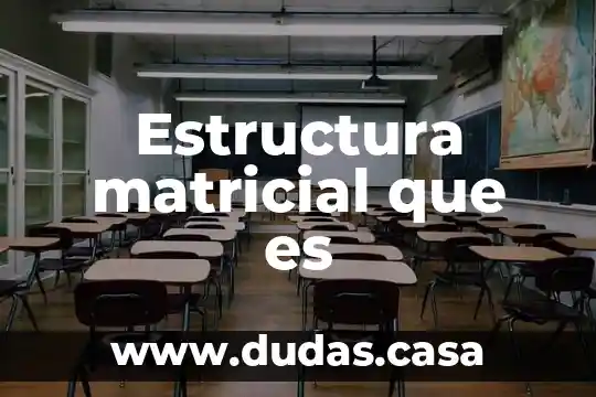 Estructura matricial que es