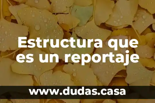 Estructura que es un reportaje