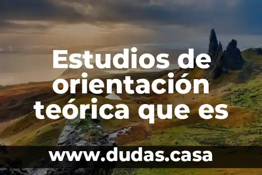 Estudios de orientación teórica que es