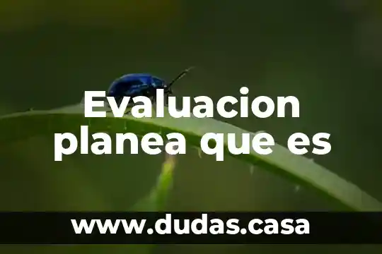 Evaluacion planea que es