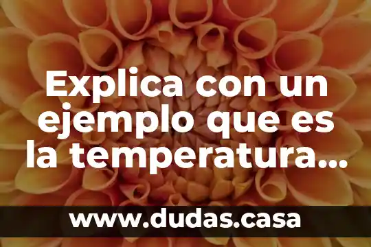 Explica con un ejemplo que es la temperatura de fusion