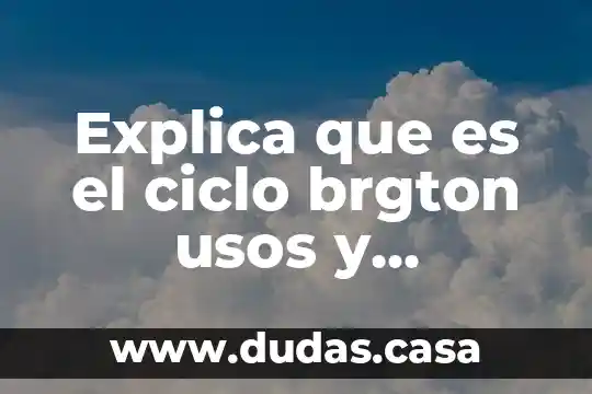 Que es un servidor web de aplicaciones 5 Explica que es el ciclo brgton usos y aplicaciones