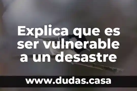 Explica que es ser vulnerable a un desastre