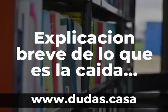 Explicacion breve de lo que es la caida libre