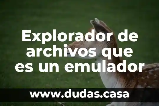 Explorador de archivos que es un emulador