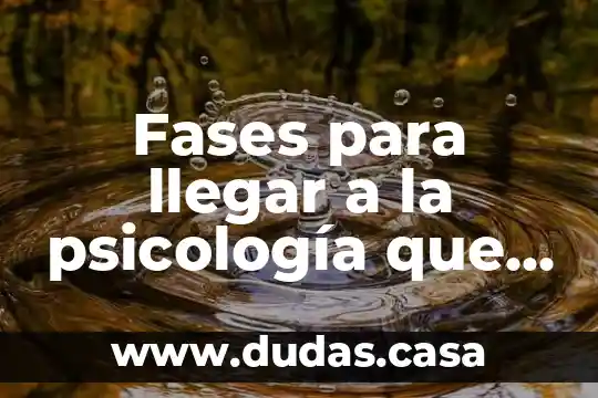 Fases para llegar a la psicología que es