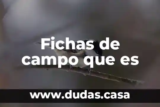 Fichas de campo que es