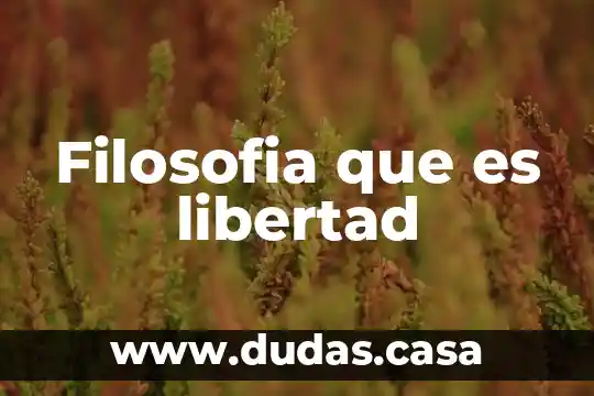 Filosofia que es libertad