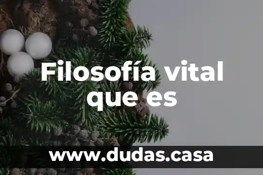 Filosofía vital que es