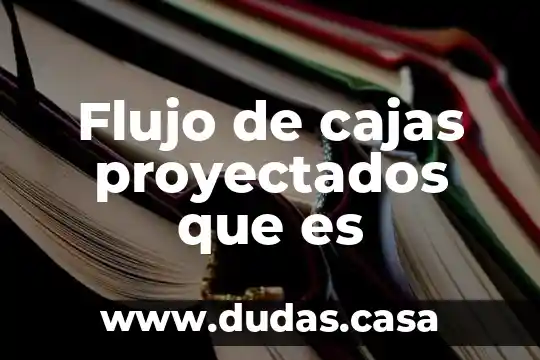 Flujo de cajas proyectados que es