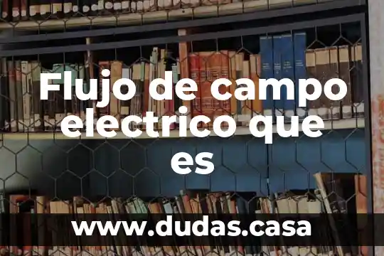 Flujo de campo electrico que es
