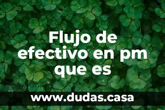 Flujo de efectivo en pm que es