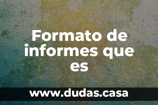 Formato de informes que es