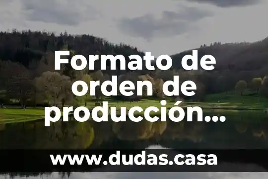 Formato de orden de producción que es