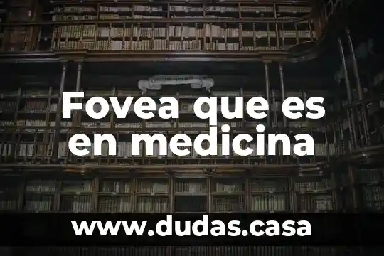 Fovea que es en medicina