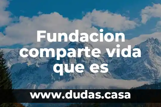 Fundacion comparte vida que es