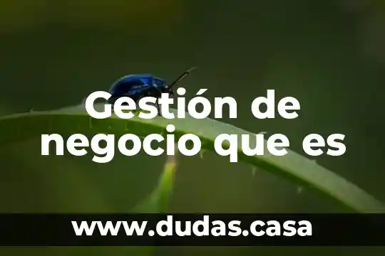 Gestión de negocio que es
