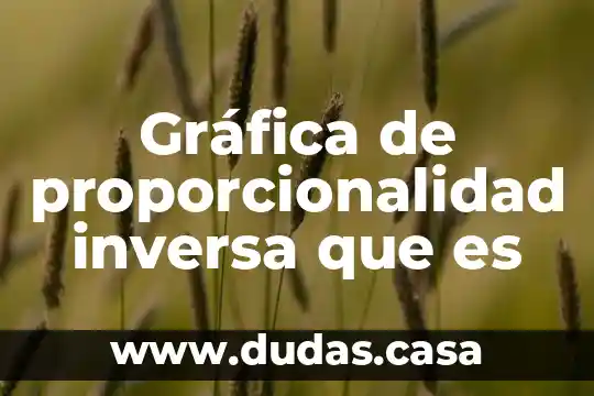 Gráfica de proporcionalidad inversa que es