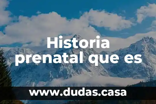 Historia prenatal que es