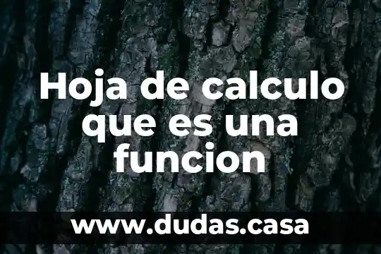 Hoja de calculo que es una funcion