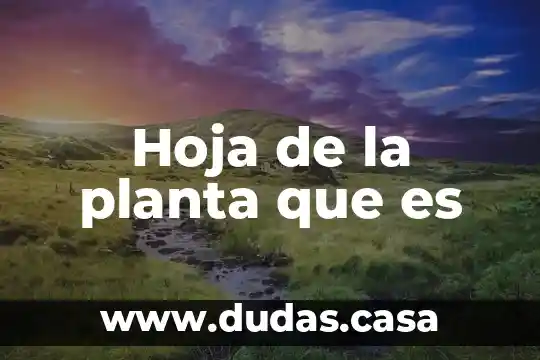 Hoja de la planta que es