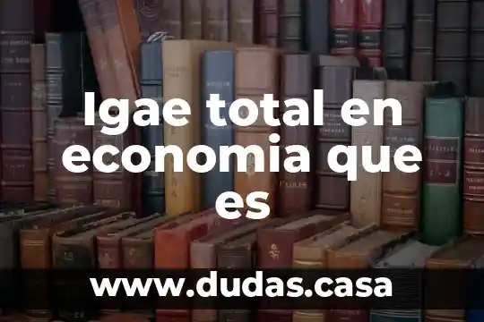Igae total en economia que es
