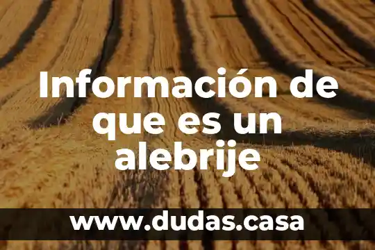 Información de que es un alebrije