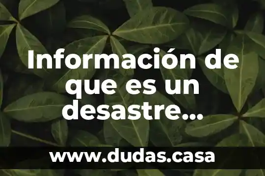 Información de que es un desastre natural en inglés