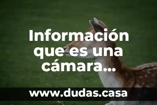 Información que es una cámara fotográfica