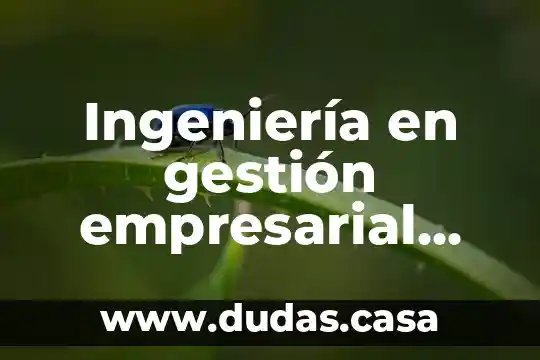 Ingeniería en gestión empresarial que es