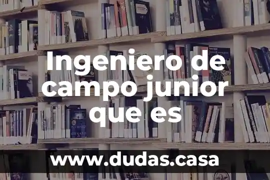 Ingeniero de campo junior que es