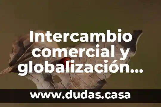 Intercambio comercial y globalización que es