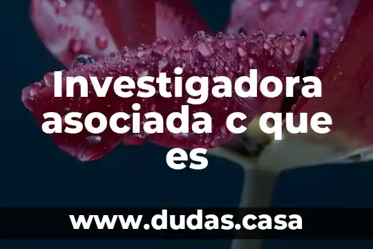 Investigadora asociada c que es