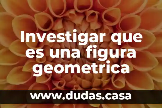 Investigar que es una figura geometrica