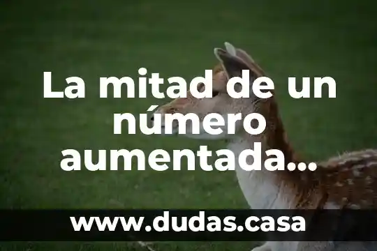 La mitad de un número aumentada una unidad que es