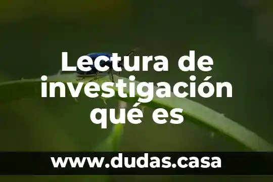 Lectura de investigación qué es