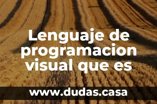 Lenguaje de programacion visual que es