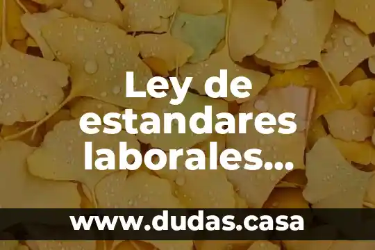 Ley de estandares laborales justos que es
