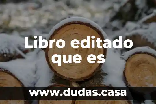 Libro editado que es