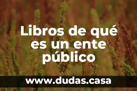 Libros de qué es un ente público