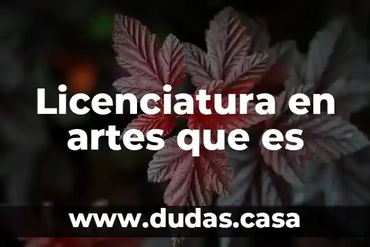 Licenciatura en artes que es
