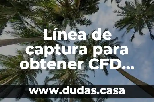 Línea de captura para obtener CFD qué es