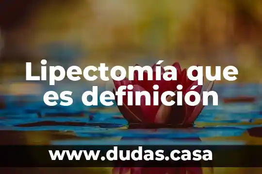 Lipectomía que es definición